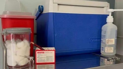 imagen de: Inmunización